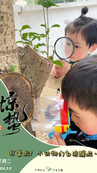 惊蛰