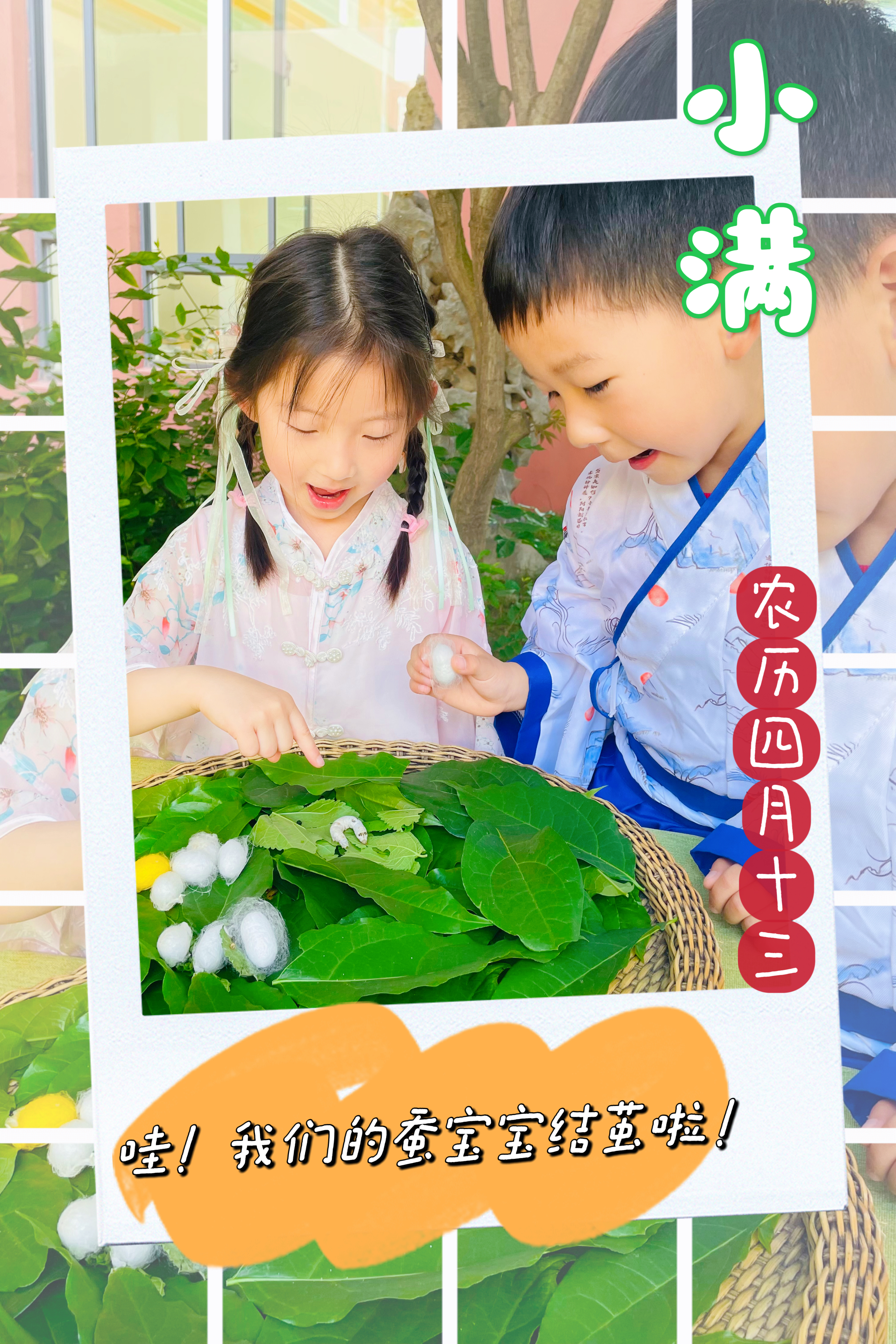 微信图片_20240529131445